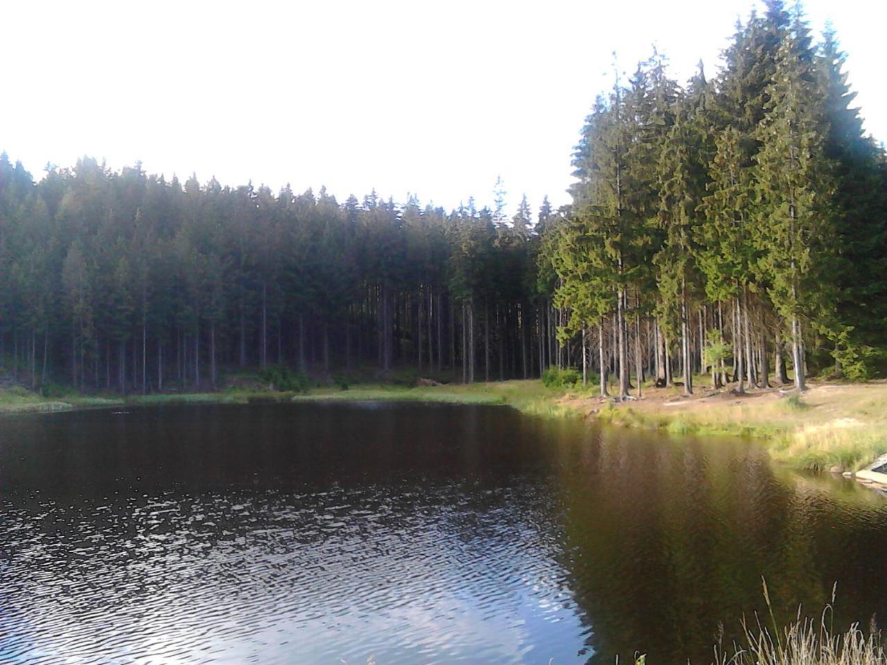 Jiretinska Chaloupka Daire Jiřetín pod Jedlovou Dış mekan fotoğraf